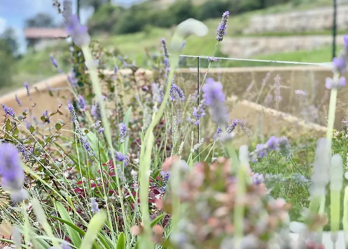 アパート Monte *